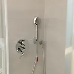 Brotzu 5*