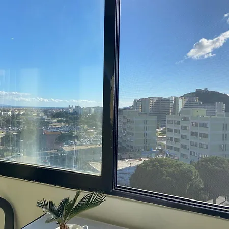 Brotzu 셀라기우스