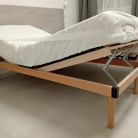 Brotzu 5* 셀라기우스