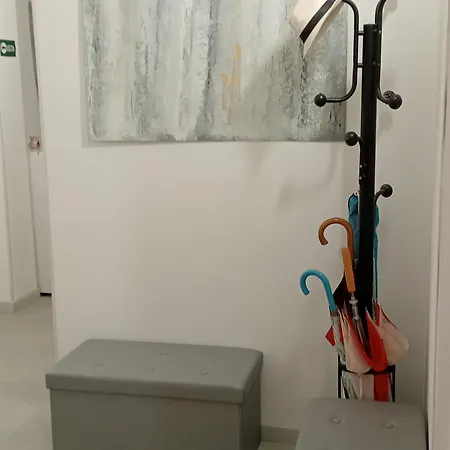 Brotzu 5* 셀라기우스